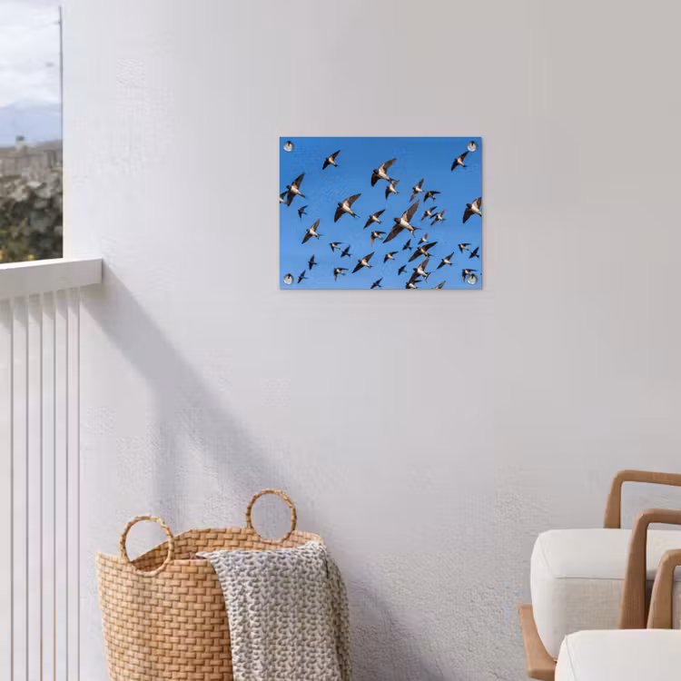 Tuinposter - Zwaluwen - Vliegen - Blauw — 3