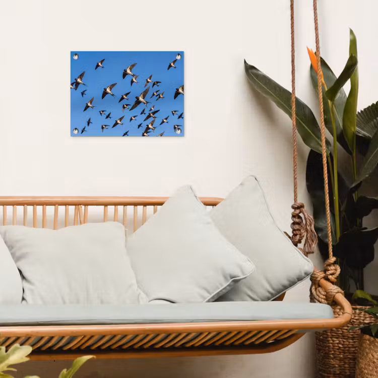 Tuinposter - Zwaluwen - Vliegen - Blauw — 5