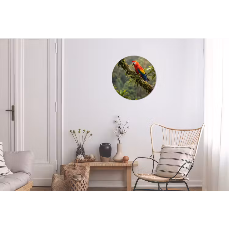 Wandcirkel - Aluminium - Ara - Jungle - Rood — 2