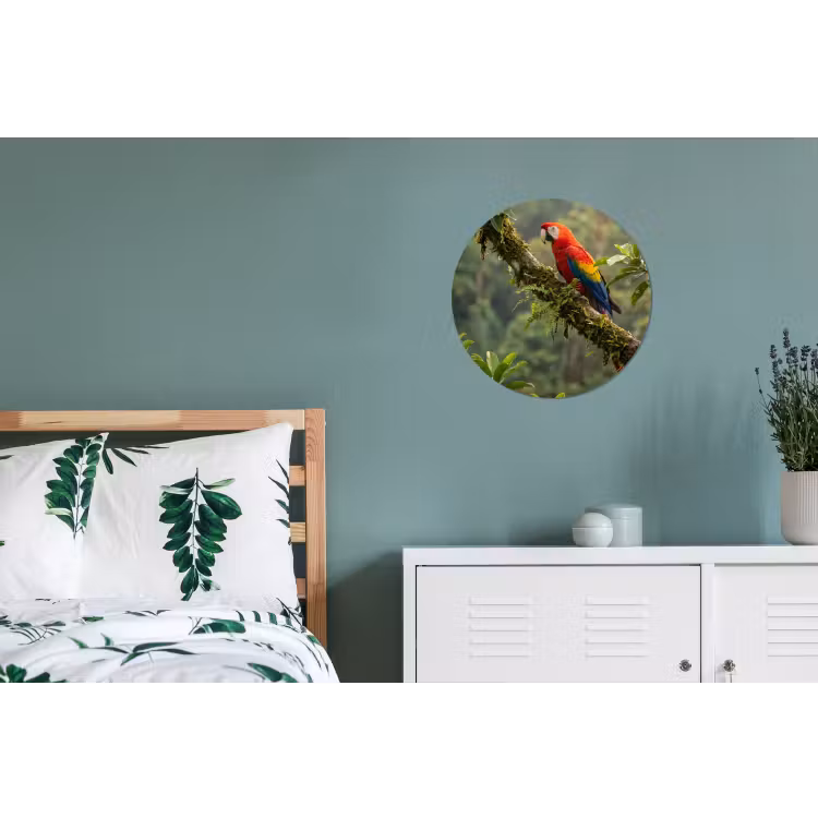Wandcirkel - Aluminium - Ara - Jungle - Rood — 4