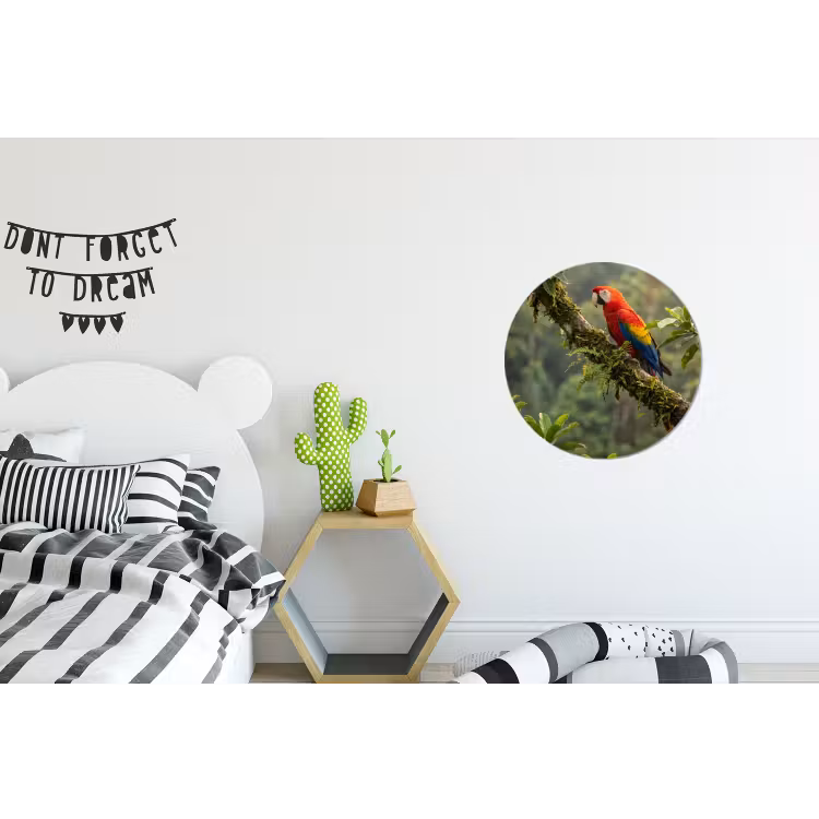 Wandcirkel - Aluminium - Ara - Jungle - Rood — 5