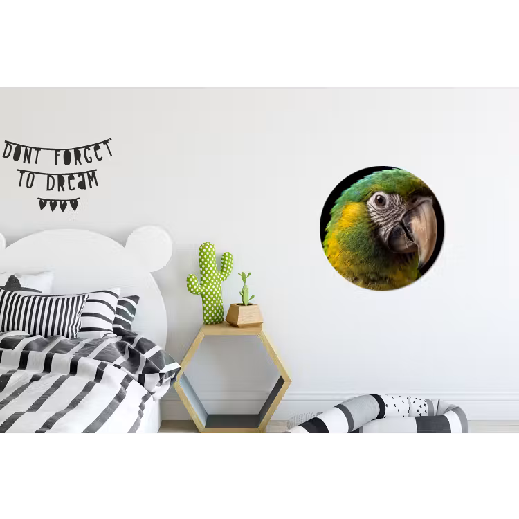 Wandcirkel - Aluminium - Ara - Portret - Groen — 5