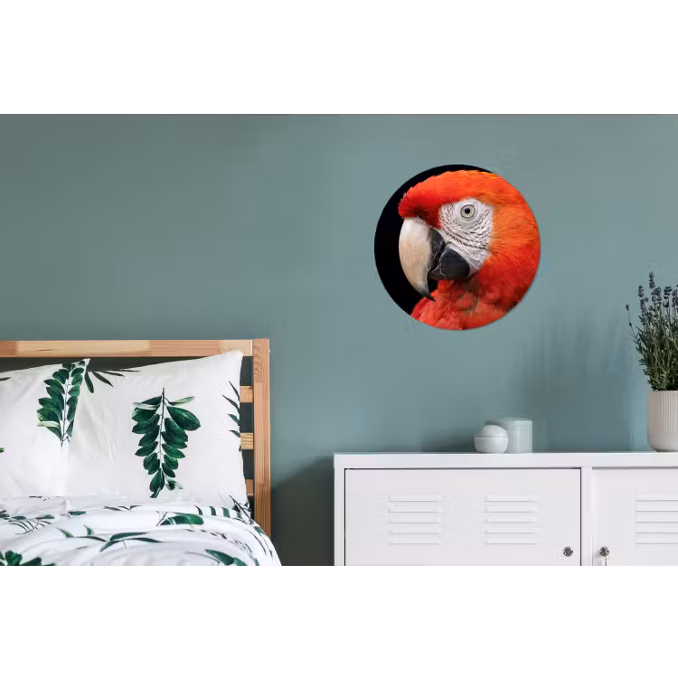 Wandcirkel - Aluminium - Ara - Portret - Rood — 4