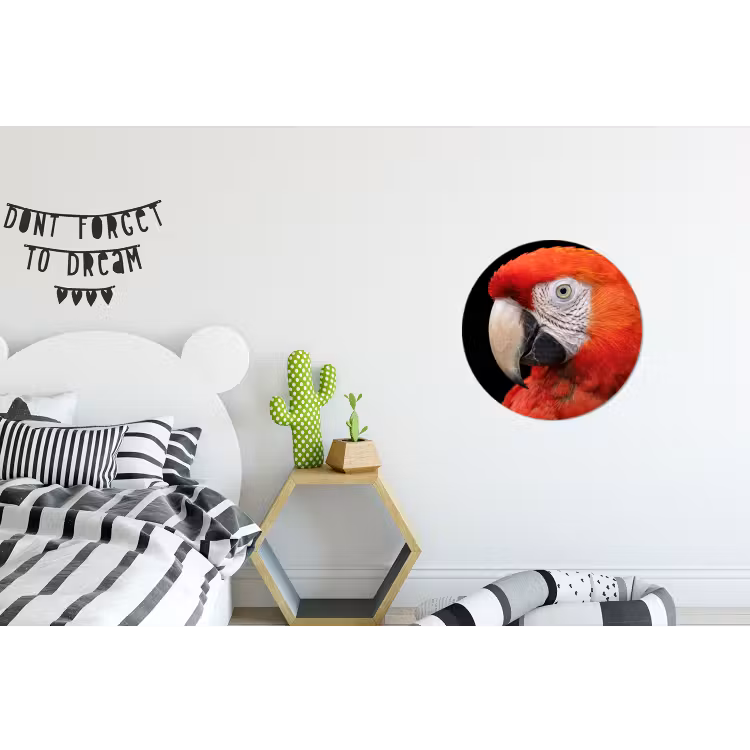 Wandcirkel - Aluminium - Ara - Portret - Rood — 5