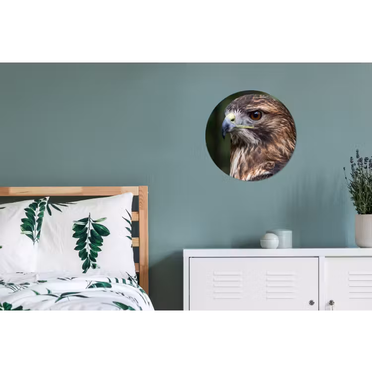 Wandcirkel - Aluminium - Buizerd - Roofvogel - Natuur - Bruin — 4