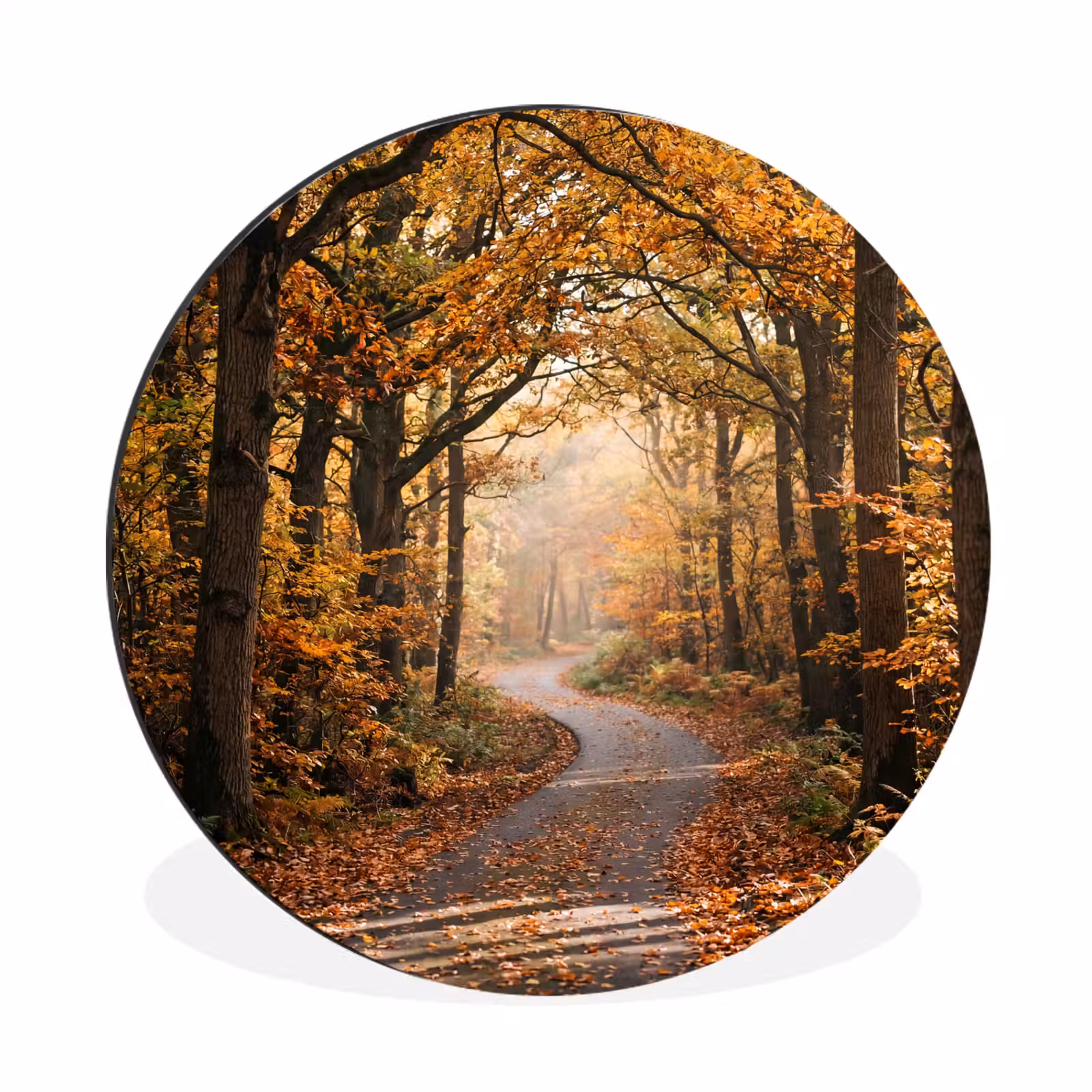 Wandcirkel - Aluminium - Bospad - Herfstbos - Bladeren - Oranje - Nostalgisch — 1