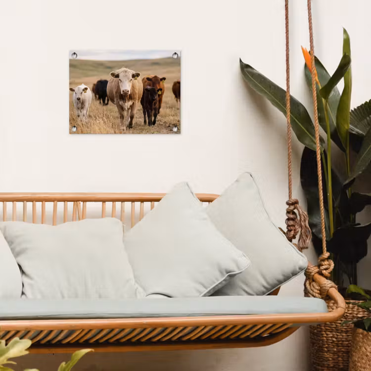 Tuinposter - Runderen - Kudde - Landschap - Weide - Rustig — 5