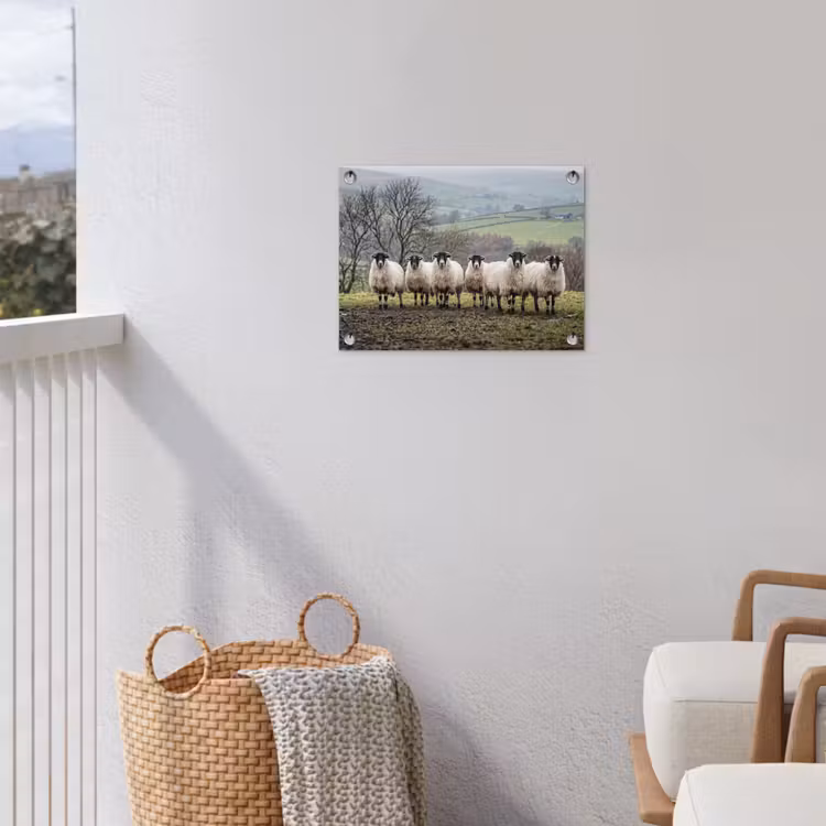 Tuinposter - Schapen - Rij - Weide - Dieren - Platteland — 3