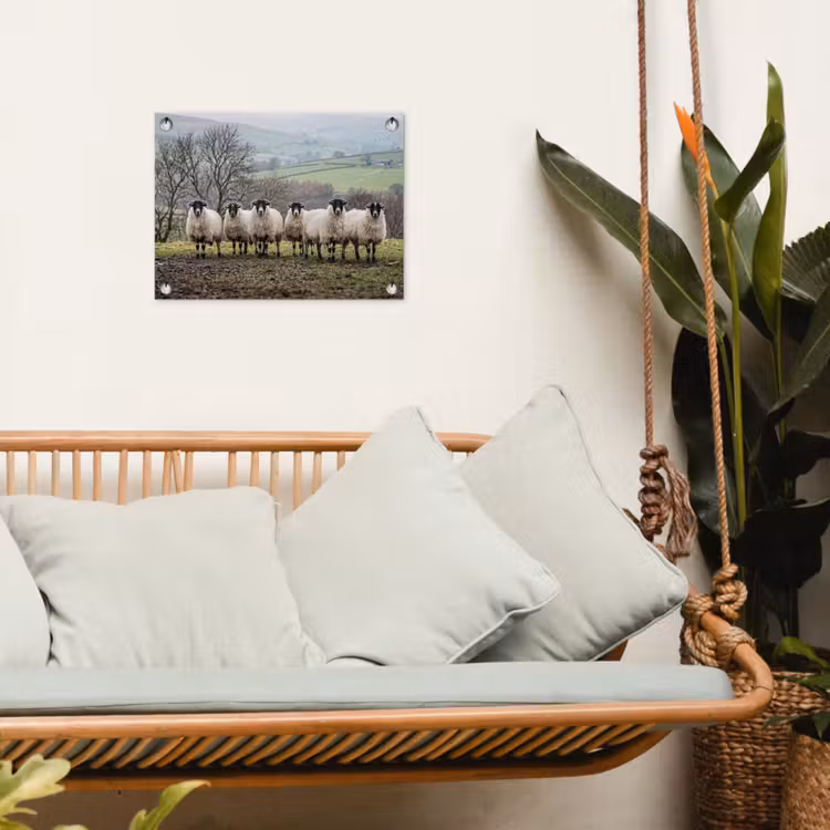 Tuinposter - Schapen - Rij - Weide - Dieren - Platteland — 5
