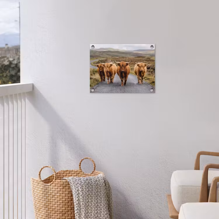 Tuinposter - Schotse Hooglanders - Weg - Landschap - Kudde — 3