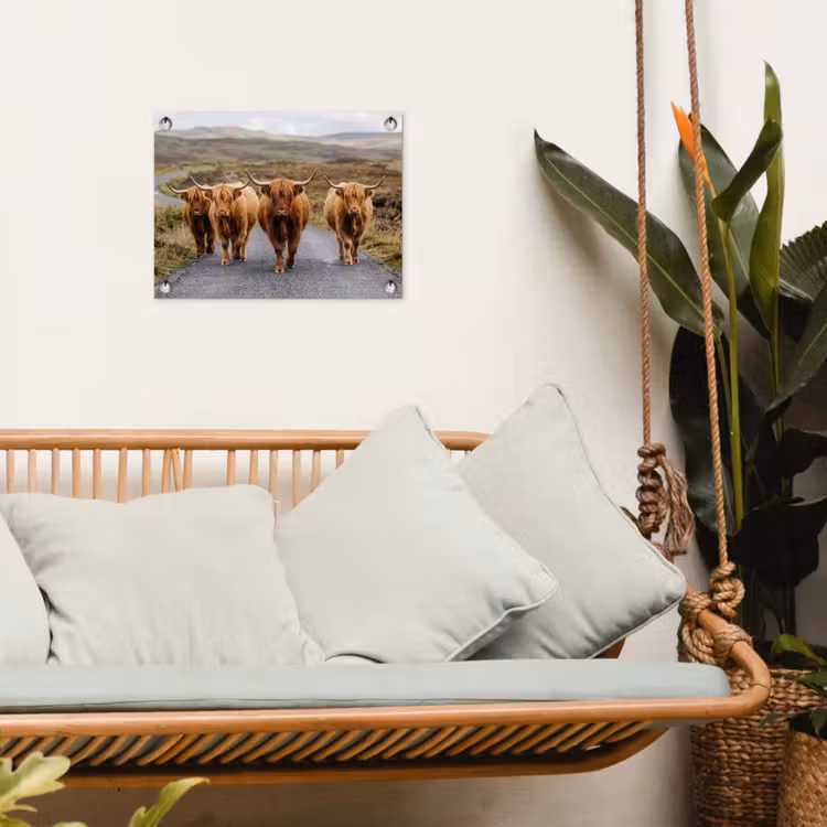 Tuinposter - Schotse Hooglanders - Weg - Landschap - Kudde — 5