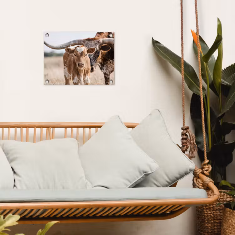 Tuinposter - Texas Longhorn - Kalf - Weide - Dieren — 5