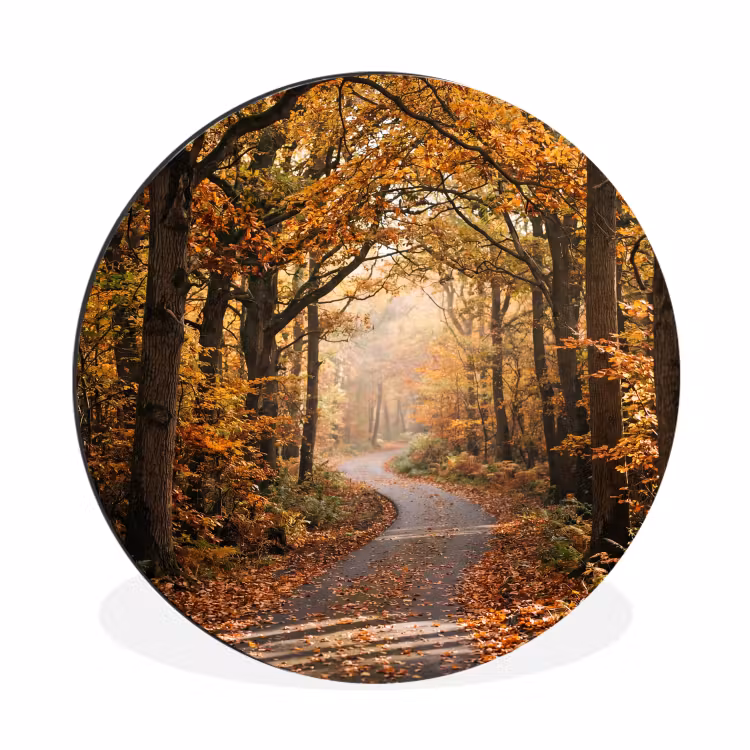 Wandcirkel - Aluminium - Bospad - Herfstbos - Bladeren - Oranje - Nostalgisch — 1