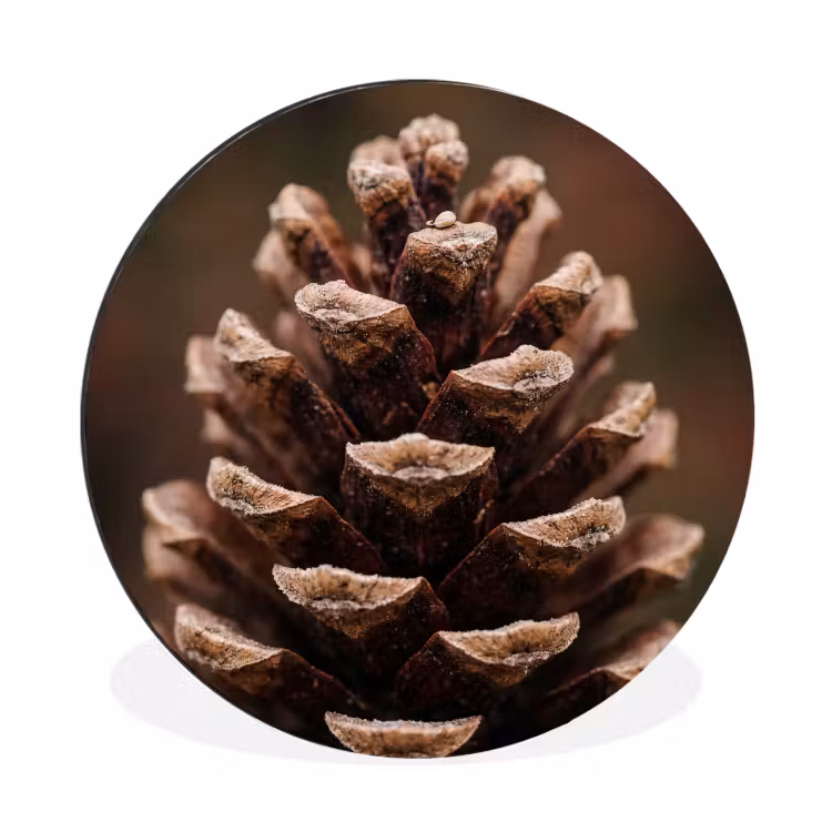 Wandcirkel - Aluminium - Dennenappel - Bos - Herfst - Bruin - Sfeervol — 1
