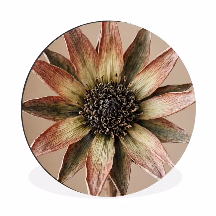Wandcirkel - Aluminium - Droogbloem - Protea - Vintage - Beige - Rustiek — 1