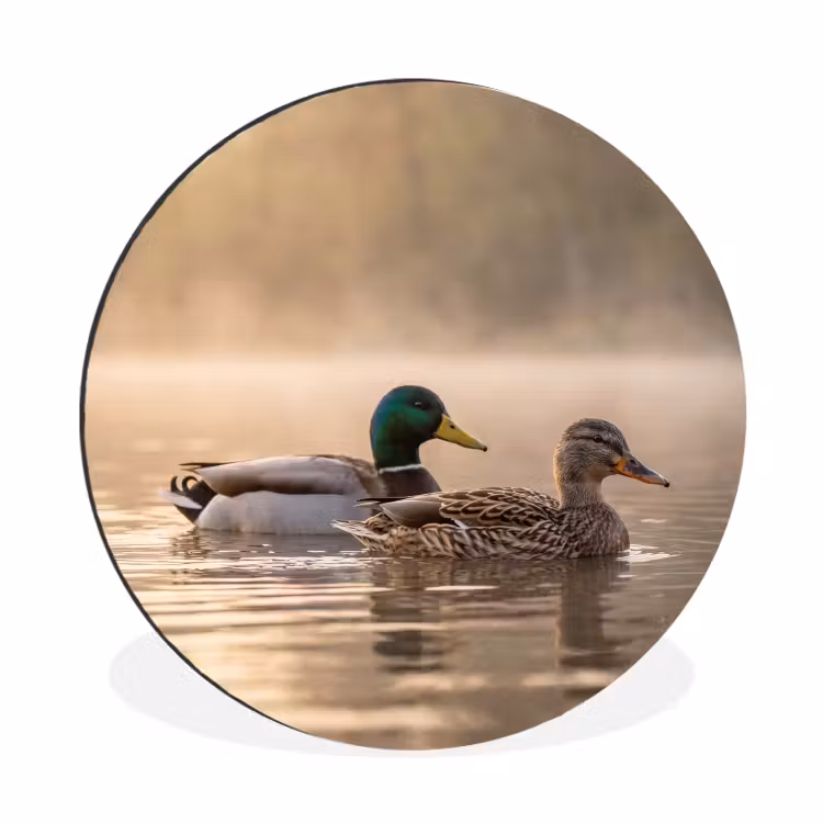 Wandcirkel - Aluminium - Eenden - Water - Mist - Natuur — 1