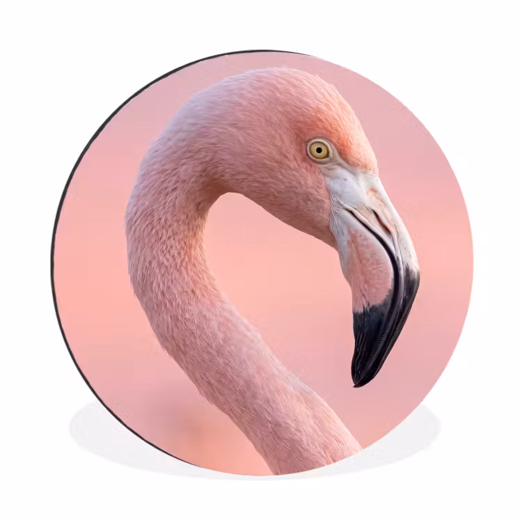 Wandcirkel - Aluminium - Flamingo - Portret - Roze — 1