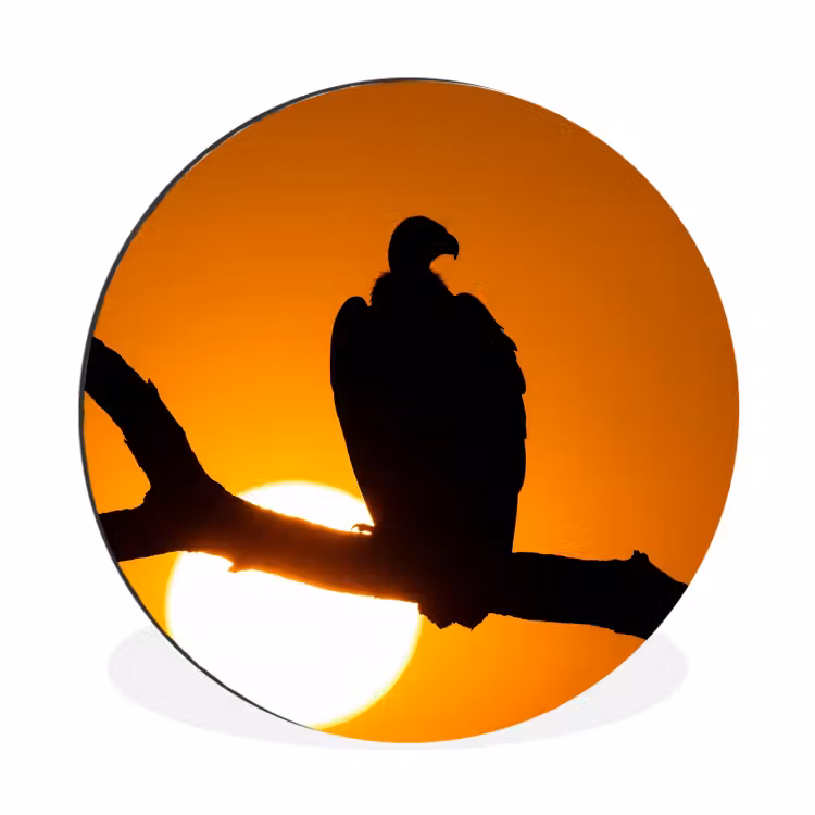 Wandcirkel - Aluminium - Gier - Tak - Zon - Oranje — 1