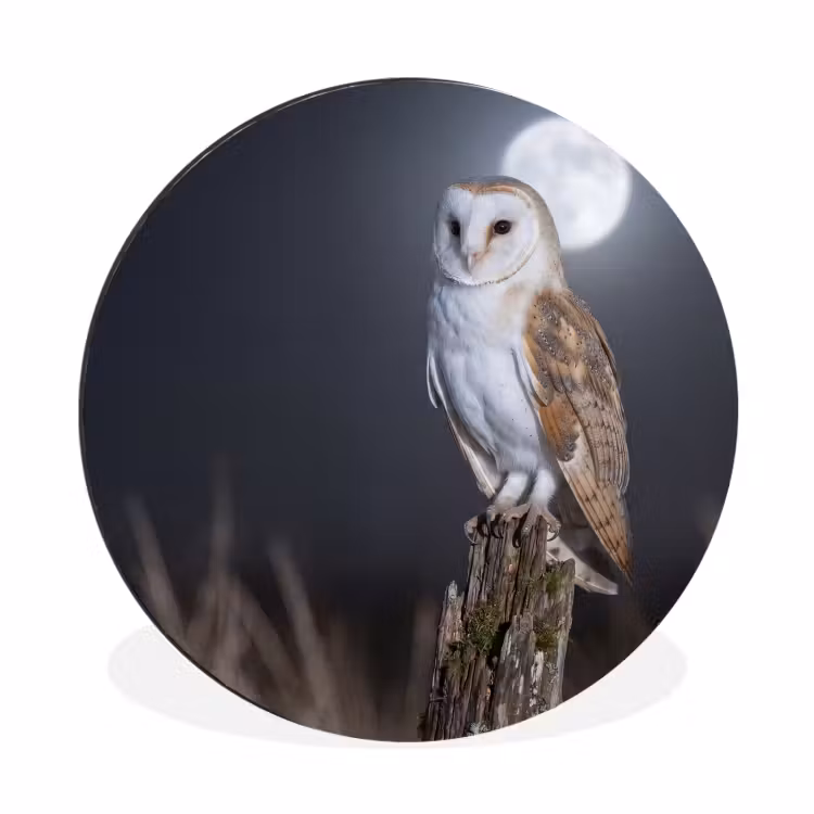 Wandcirkel - Aluminium - Kerkuil - Maan - Nacht — 1