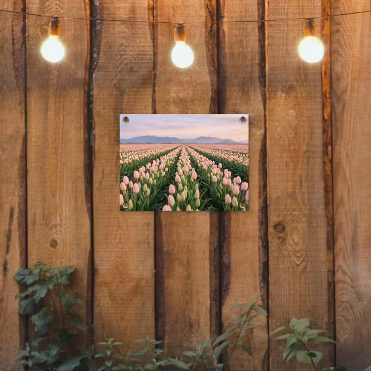 Tuinposter - Tulpen - Landschap - Roze — 2