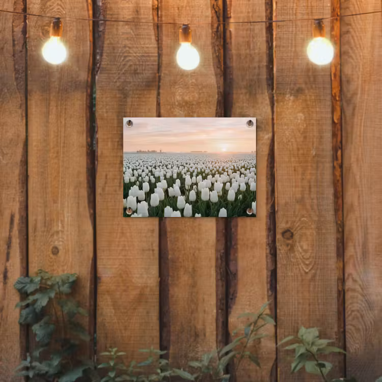 Tuinposter - Tulpen - Landschap - Wit — 2
