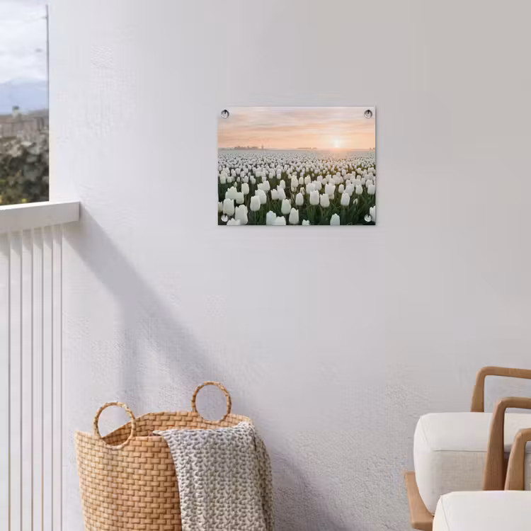 Tuinposter - Tulpen - Landschap - Wit — 3