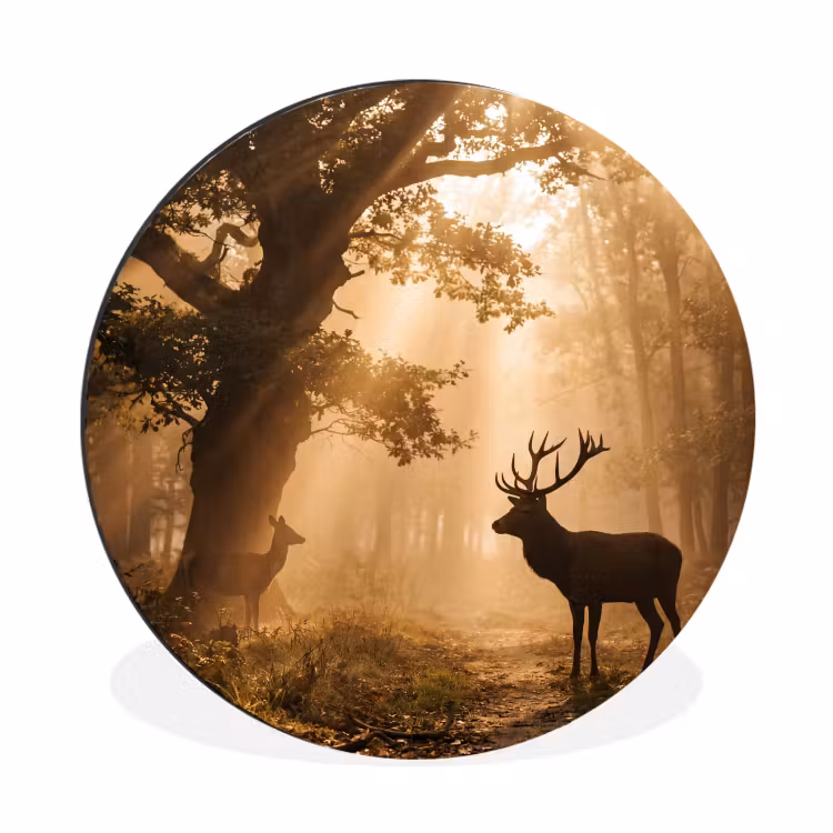 Wandcirkel - Aluminium - Hert - Bos - Mistig - Natuur - Goud — 1