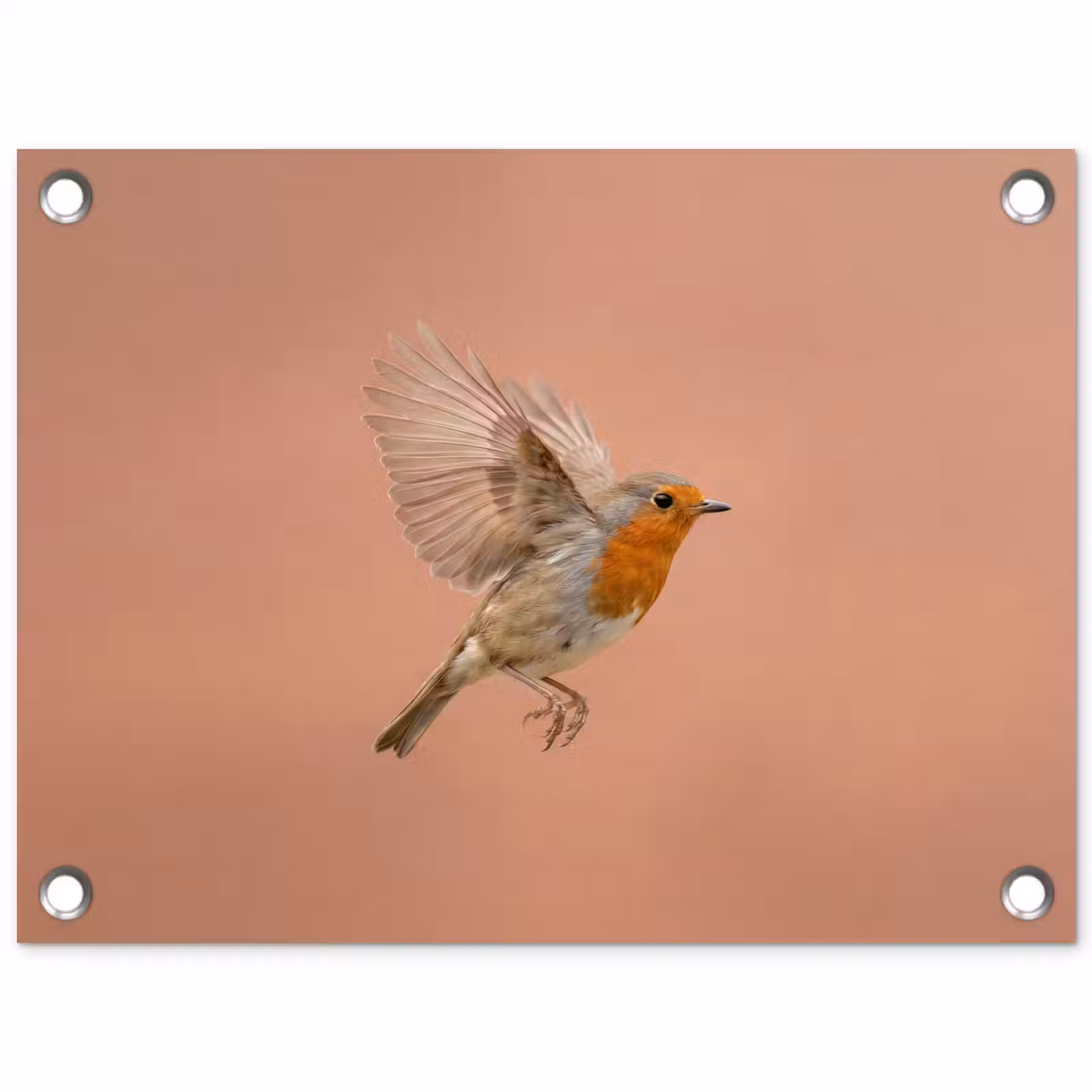 Tuinposter - Roodborst - Natuur - Roze — 1