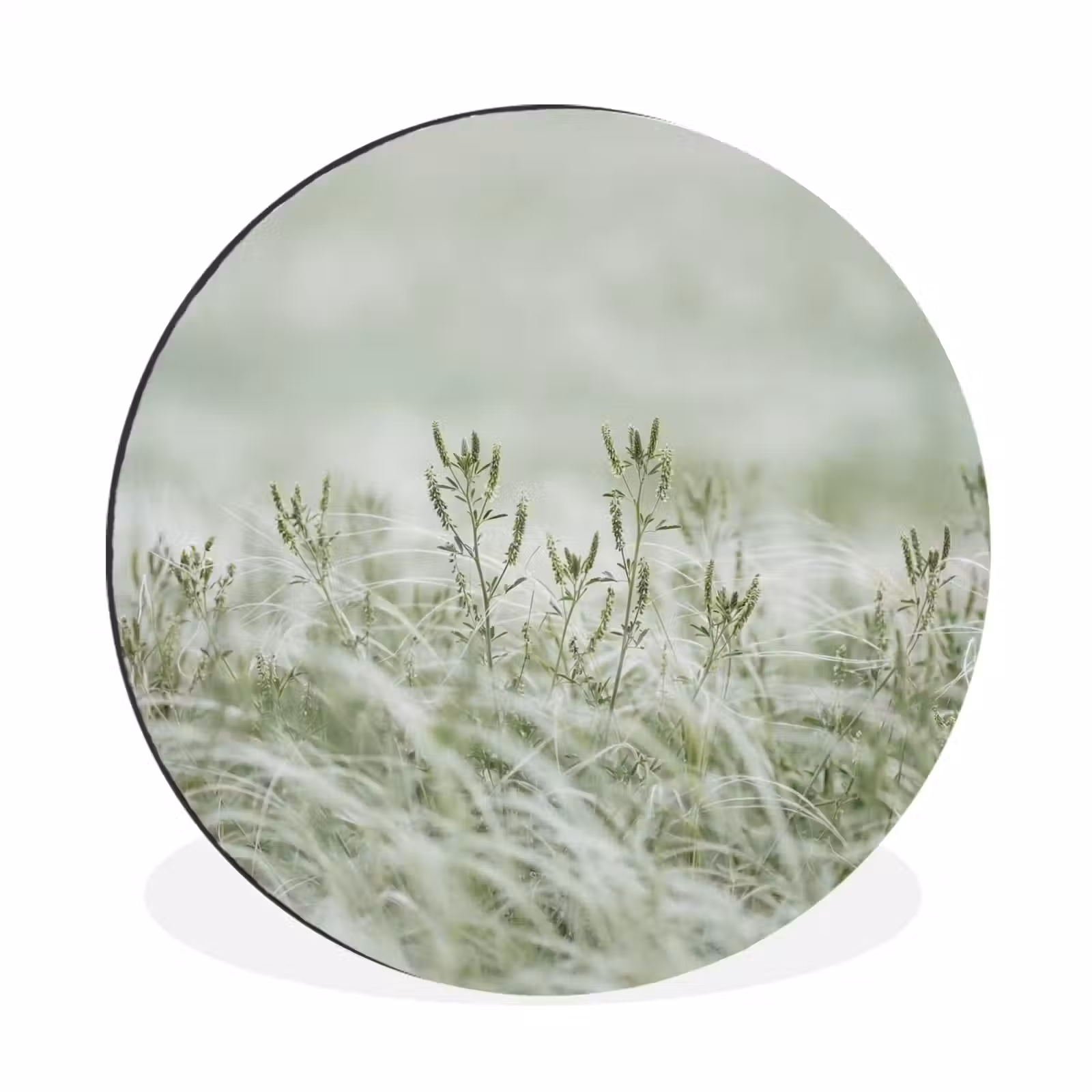Wandcirkel - Aluminium - Grassen - Minimalistisch - Groen — 1