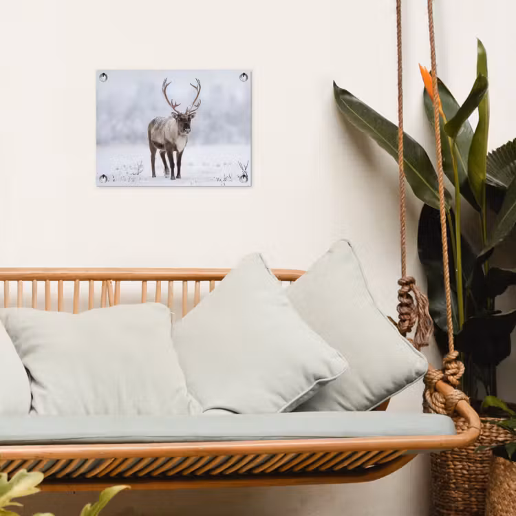 Tuinposter - Rendier - Gewei - Toendra - Sneeuw - Wild — 5