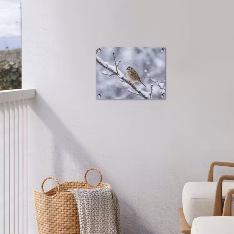 Tuinposter - Vogel - Tak - Sneeuw - Winter — 3
