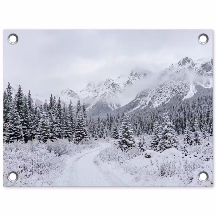 Tuinposter - Weg - Bergen - Sneeuw - Naaldbos - Avontuurlijk — 1
