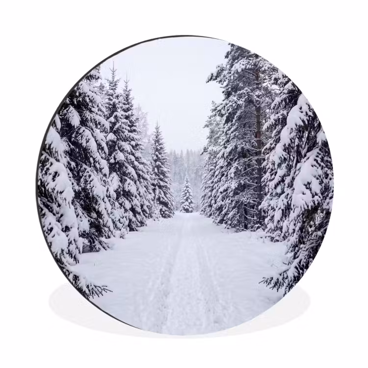 Wandcirkel - Aluminium - Bos - Winter - Sneeuw - Pad - Natuur — 1