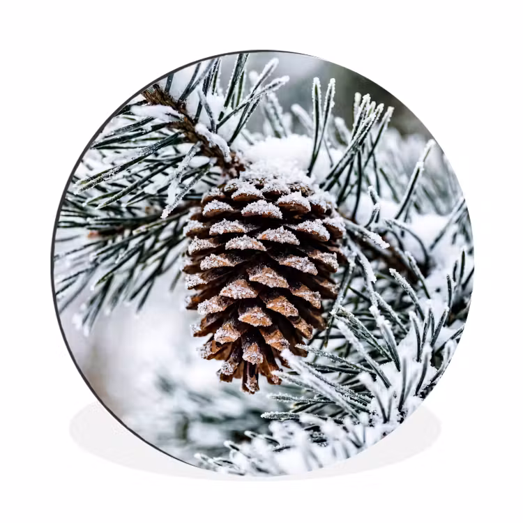 Wandcirkel - Aluminium - Dennenappel - Tak - Sneeuw - Winter - Sfeervol — 1
