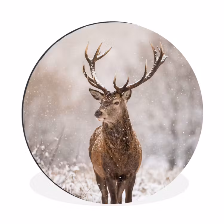 Wandcirkel - Aluminium - Edelhert - Bos - Sneeuw - Winter - Majestueus — 1