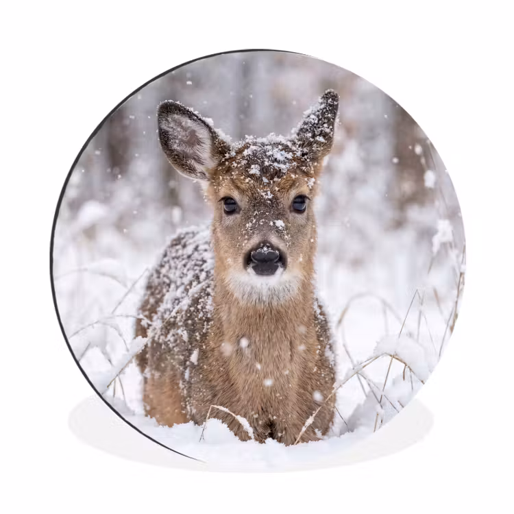 Wandcirkel - Aluminium - Hert - Sneeuw - Bos - Dieren - Vertederend — 1