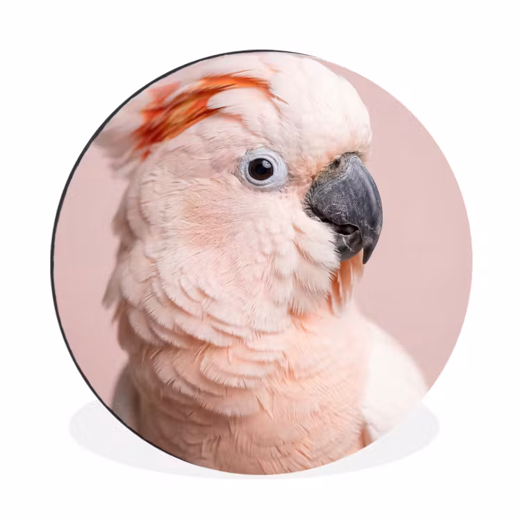 Wandcirkel - Aluminium - Kaketoe - Portret - Roze — 1