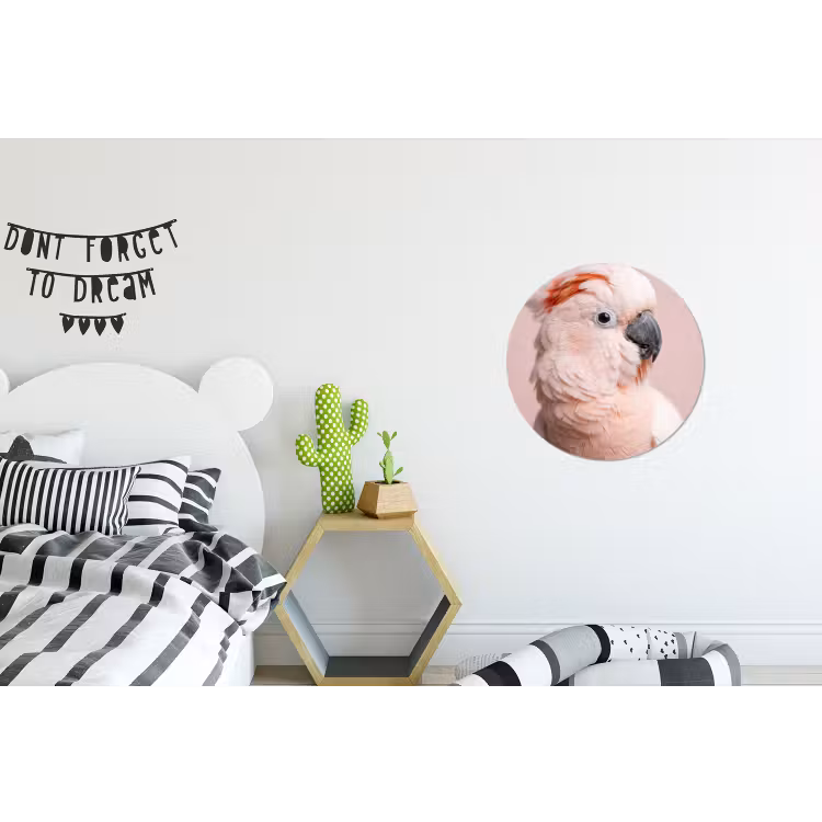 Wandcirkel - Aluminium - Kaketoe - Portret - Roze — 5