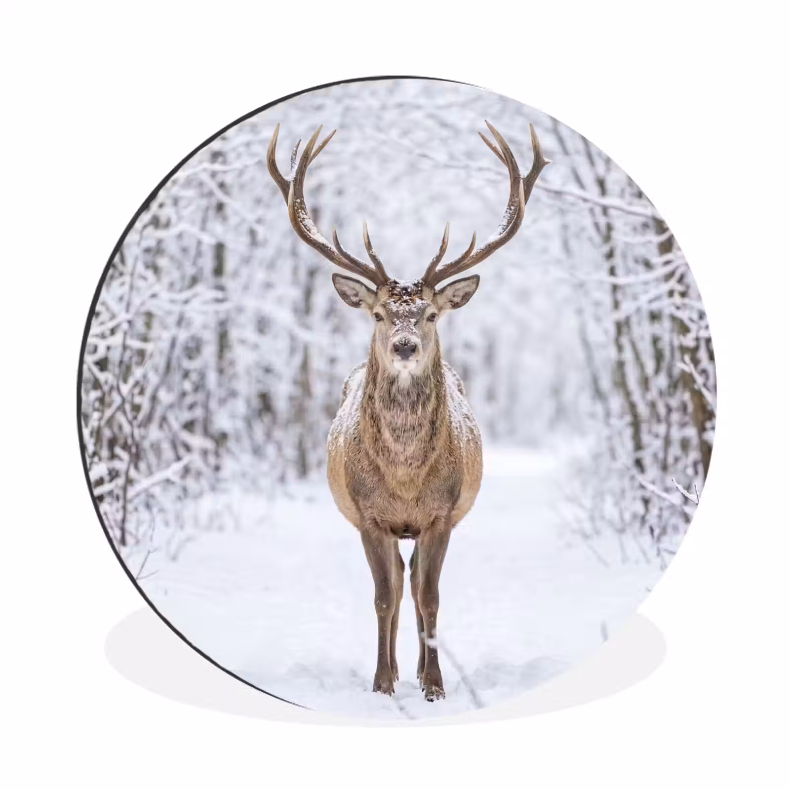 Wandcirkel - Aluminium - Hert - Winter - Bos - Natuur - Wit — 1