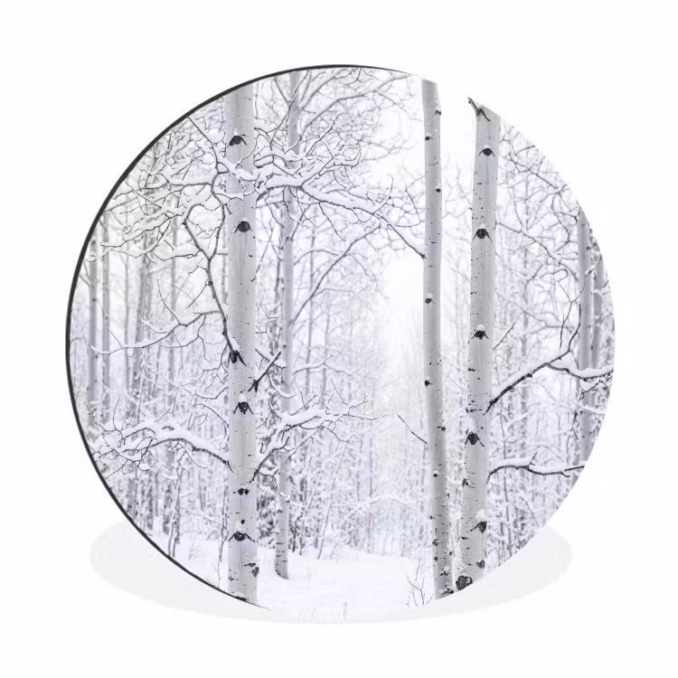 Wandcirkel - Aluminium - Berkenbomen - Sneeuw - Winter - Bos - Wit — 1