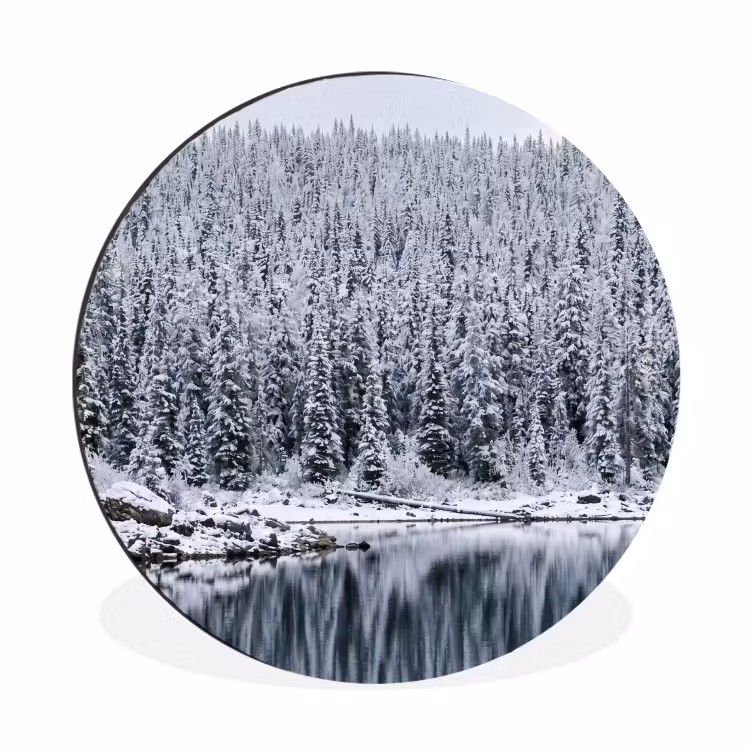 Wandcirkel - Aluminium - Bos - Reflectie - Meer - Winter - Serene — 1