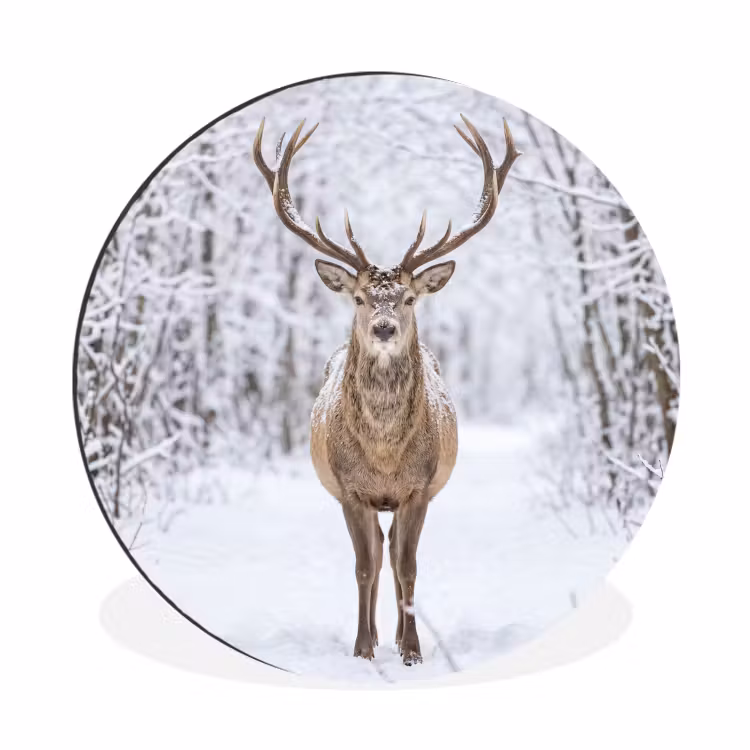 Wandcirkel - Aluminium - Hert - Winter - Bos - Natuur - Wit — 1