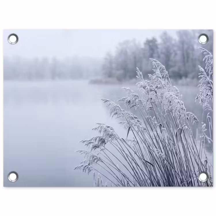 Tuinposter - Riet - Bevroren - Winter - Natuur — 1