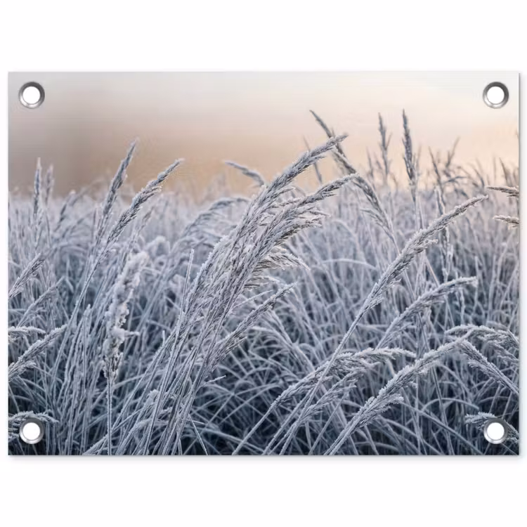 Tuinposter - Rijp - Gras - Kristallen - Winter - Minimalistisch — 1