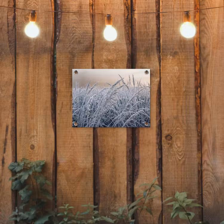 Tuinposter - Rijp - Gras - Kristallen - Winter - Minimalistisch — 2