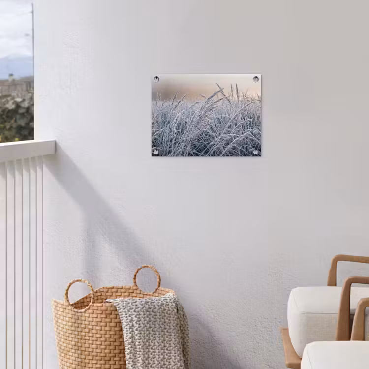 Tuinposter - Rijp - Gras - Kristallen - Winter - Minimalistisch — 3
