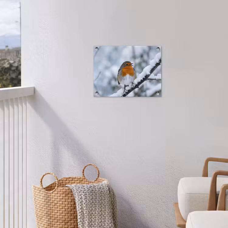 Tuinposter - Roodborstje - Tak - Sneeuw - Winter - Levendig — 3