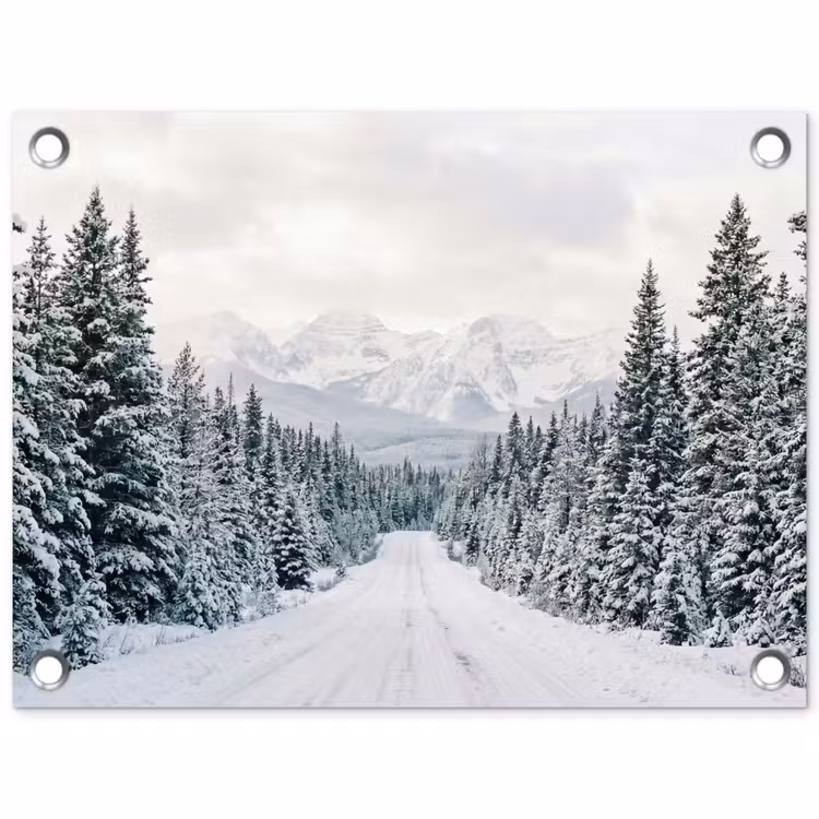 Tuinposter - Weg - Sneeuw - Naaldbos - Winter - Avontuurlijk — 1