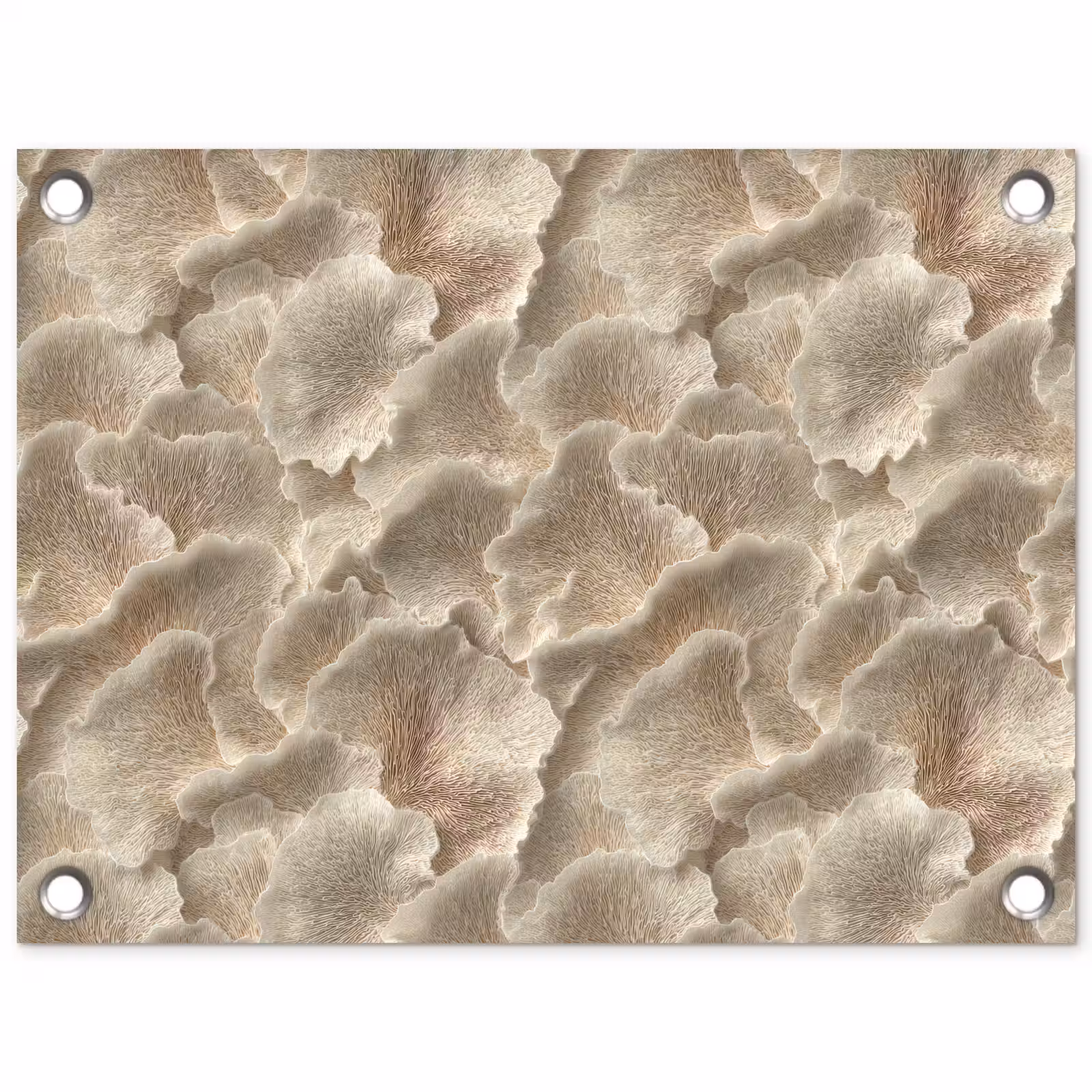 Tuinposter - Waaierstructuren - Beige - Vezeltextuur — 1