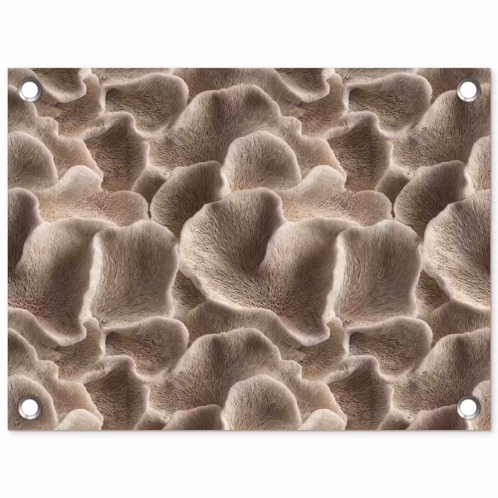 Tuinposter - Waaiervorm - Beige - Vezel textuur — 1
